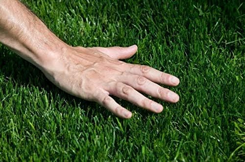 Carpet Paradise Artificial Grass High-Density Green 3-Tone for Balcony, Garden, Door 1.25x2 ft
