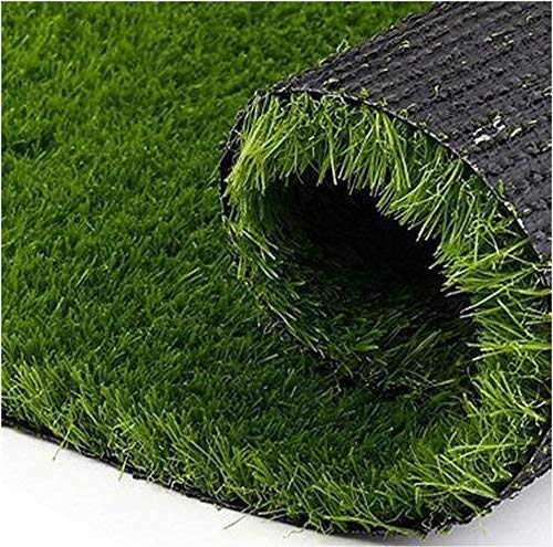 Wyntra Plastic 35mm High-Density Artificial Grass Carpet Mat for Balcony, Lawn & Door with 4-Layer Protection (2x5 ft)
